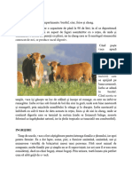 REFERAT Bovine PDF