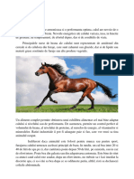 Referat Cabaline PDF