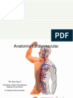 3anatomia Cardiovascular