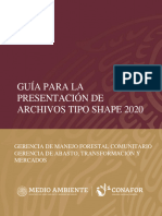 Guia para La Presentacion de Archivos Tipo Shape 2020