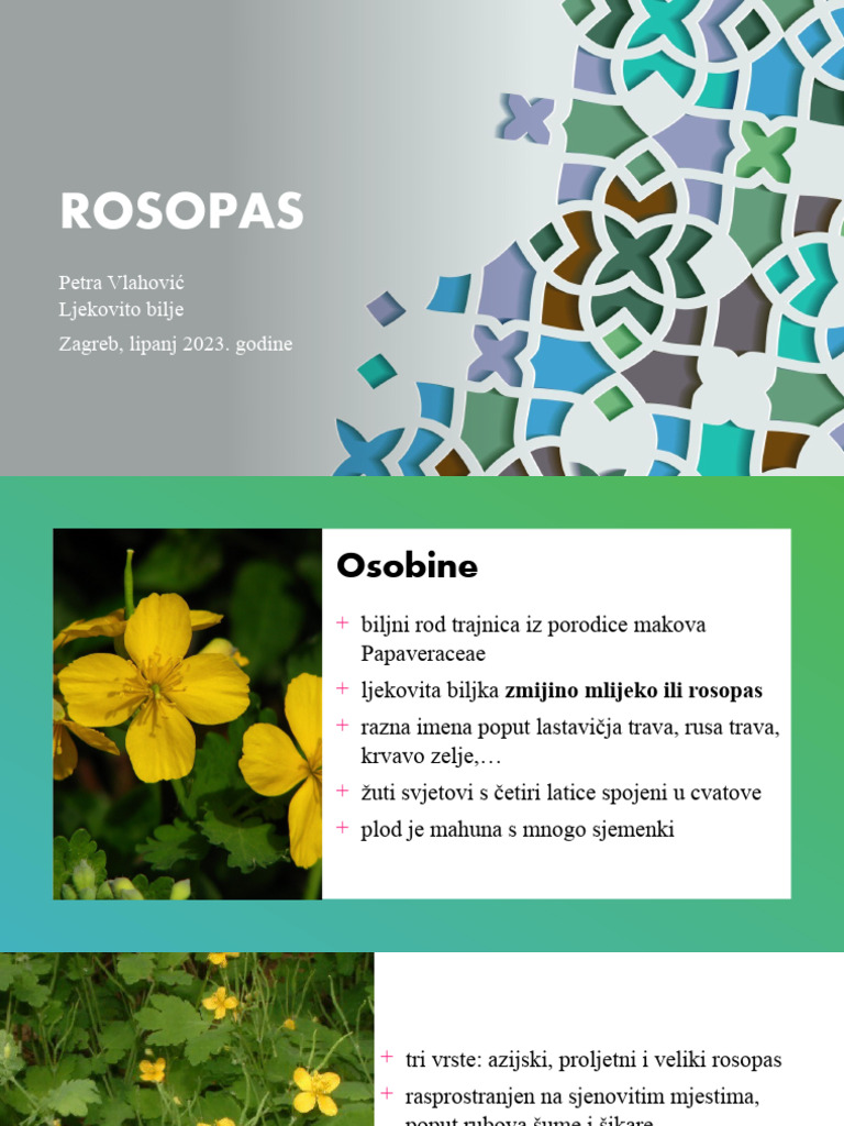 Rosopas | PDF