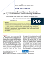 Revisão Anatomica e Biomecanica - 2023