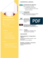 CV Elisandro Rousillon