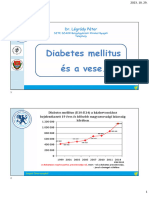 Diabetes Mellitus És A Vese - Dr. Légrády Péter