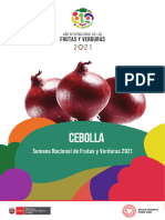 Dossier Cebolla