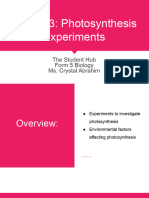 Class 13 - Photosynthesis Experiments