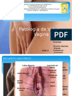 Patología Vaginal Brenda y Ricardo
