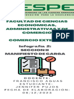 JENNIFER PUJOS - INFOGRAFÍA 2 - Sección II Manifiesto de Carga