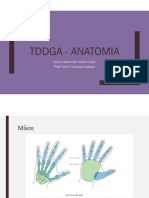 TDDGA Anatomia Pés e Mãos