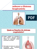 Sistema_respiratorio