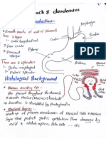 Stomach and Duodenum