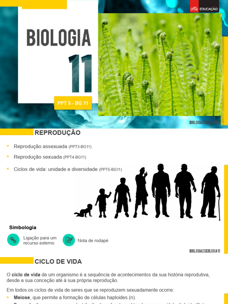Ciclos de Vida: Diplonte, Haplonte e Haplodiplonte | PDF | Meiose ...