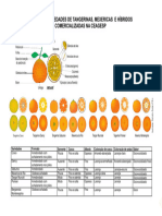 Variedades Tangerinas Mexericas