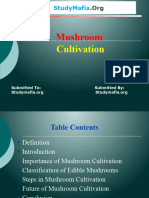 Mushroom Cultivation PPTT