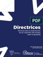 Directrices-Tecnicas-Elaboracion-Ani Ajustada Cni 3012022