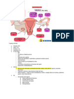 Resumen Obstetricia