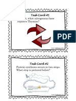 Protein Synthesis Task Cards-1