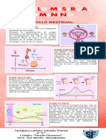 Ciclo Mestruals