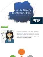 Proceso de Atención de Enfermería (PAE) Libro