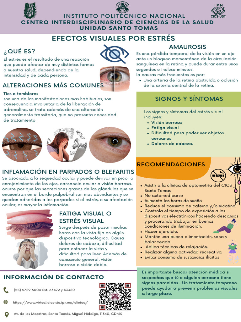Estrés Visual y Fatiga Ocular | PDF