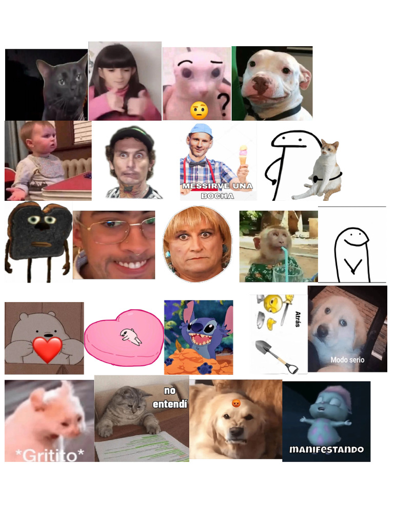 Memes para corregir pdf