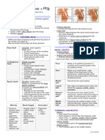 Anatomy and Physiology of Nose and PNS