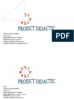 Proiect Did DP Frica