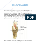 Chaper 4-Alveolar Bone