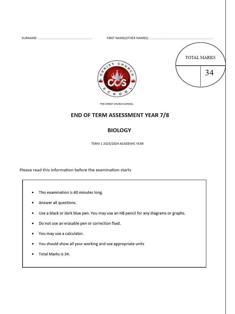 Year 7 Reading Paper
