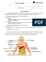 Ficha 26 - Sistema Digestório