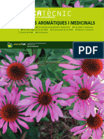 DT13. Plantes Aromàtiques I Medicinals