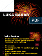 Luka Bakar