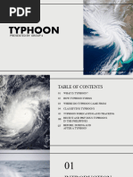 Parts of a Tropical Cyclone Explained | PDF | Eye (Cyclone) | Tropical ...