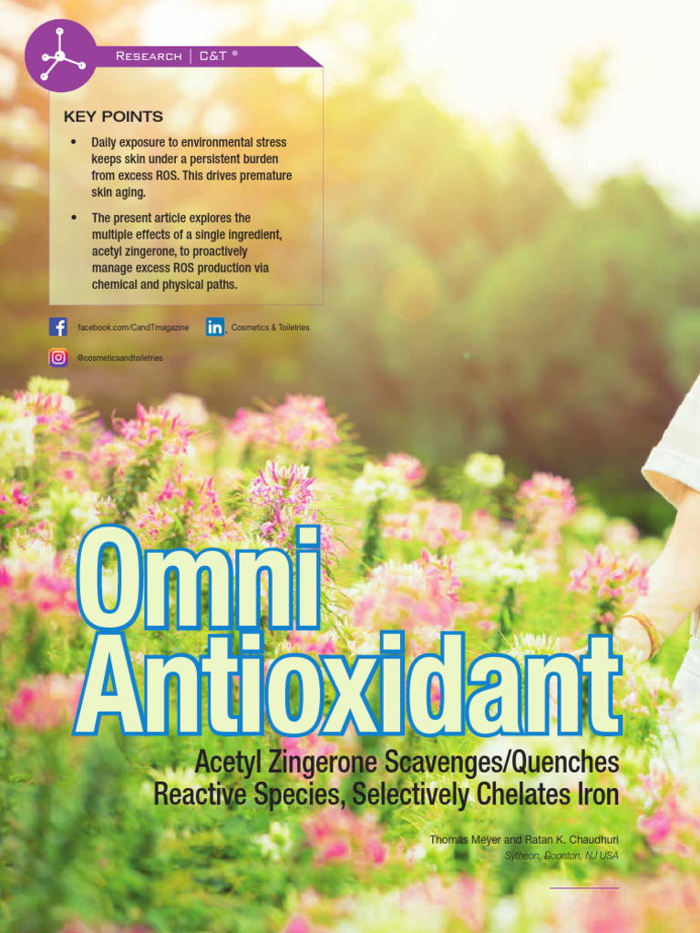 Synoxyl az omni antioxidant acetyl zingerone scavenges quenches