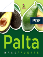 PALTA HASS Y FUERTE (Brochure Pamparacra)