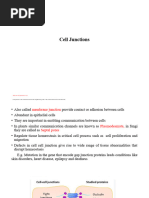 Cell Junctions