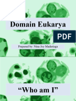 Kingdom Eukarya