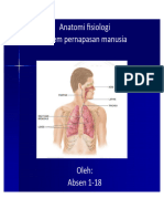 Anfis Pernapasan