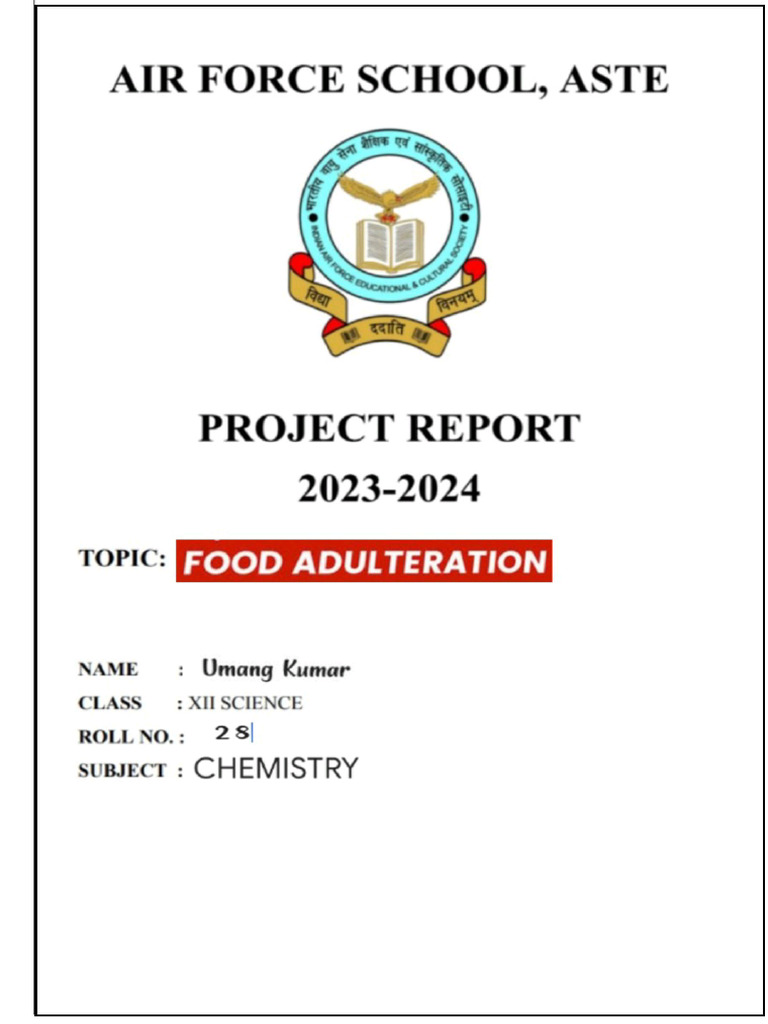 Java Investigatory Report Example
