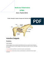 Anato Fixação