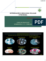 Introdução À Disciplina e Apresentação PE 1C-2C - 14.08.23