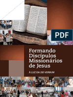 Formando Discípulos Missionários de Jesus À Luz Da Dei Verbum