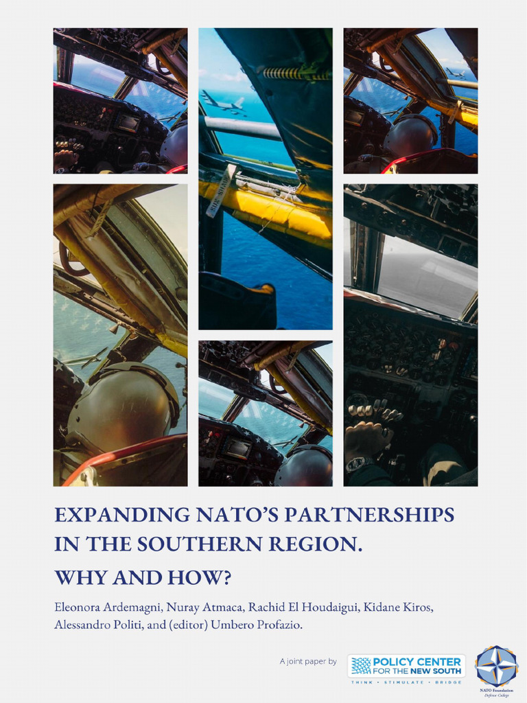 NDCF Paper Policy Centre For The New South Expanding Partnerships in ...
