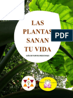 Recetario. Usos Medicinales y Energeticos de Las Plantas