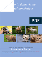 Dentição Animais Domésticos