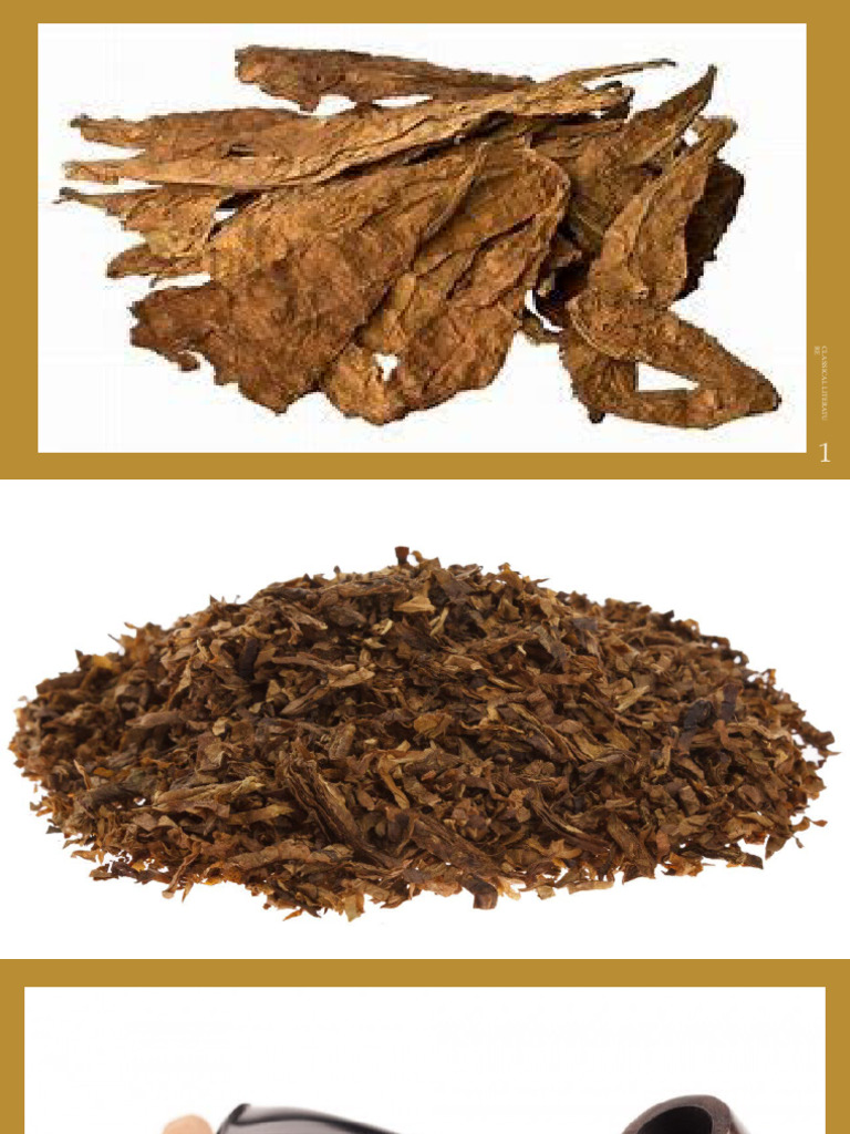 Tabacco Regulation Act of 2003 Download Free PDF Tobacco Smoking