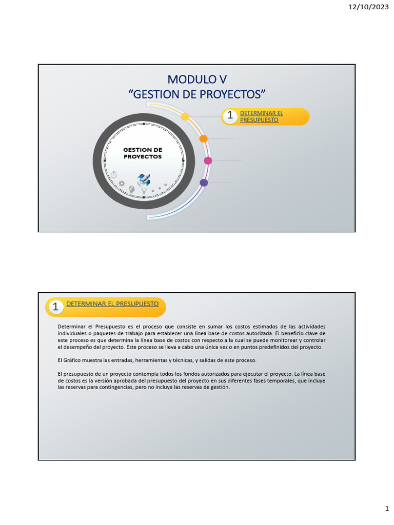 Clase 9 - Gestion de Proyectos - Modulo V | PDF