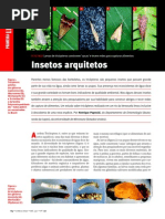 Insetos Arquitetos