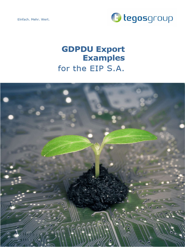 GDPDU Export Setup Examples for EIP S.A. | PDF