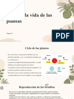 Diapositivas Biologia - PPTX 1702504393